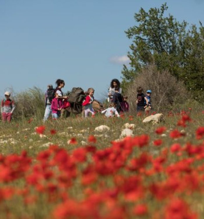 Découverte nature en rando animée par Mésange et Libellule et Camin'âne